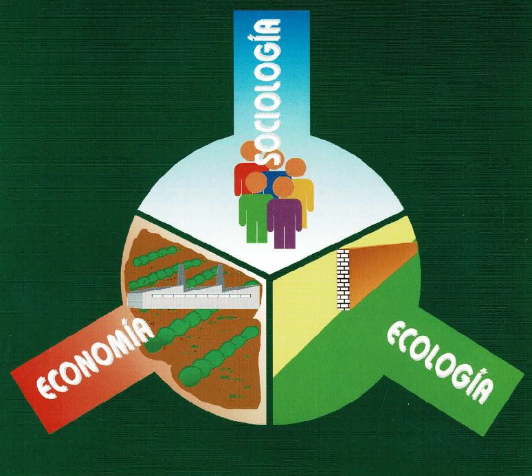 Ecología, sociología, economía